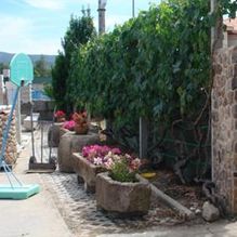 937066-112190-Luis-Franco-Medeiros-jardin